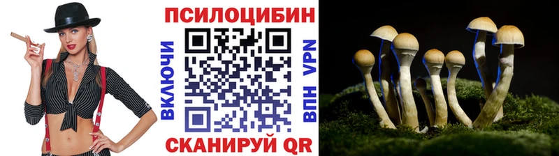 Псилоцибиновые грибы мухоморы  Солнечногорск 